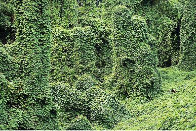 传《合金装备：重制版》2023年5月前公开